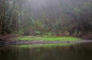 mysterious lake