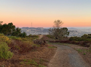 San Bruno Mountain