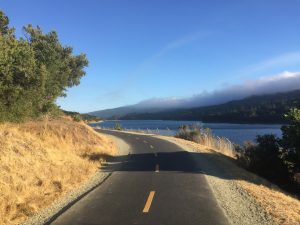 Fog over Crystal Springs