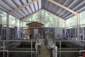 water treatment facility improvements